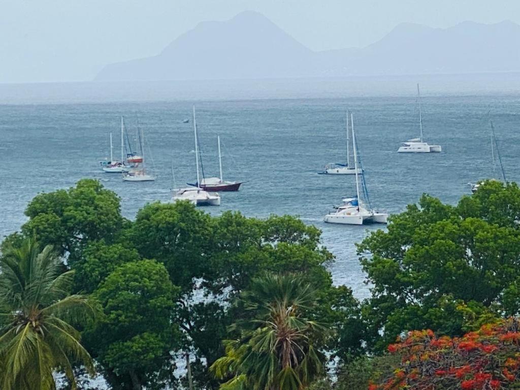 Appartement Les Pieds Dans L'Eau Sainte-Anne Εξωτερικό φωτογραφία