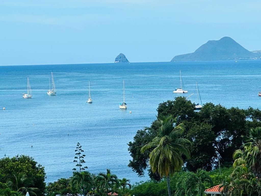 Appartement Les Pieds Dans L'Eau Sainte-Anne Εξωτερικό φωτογραφία